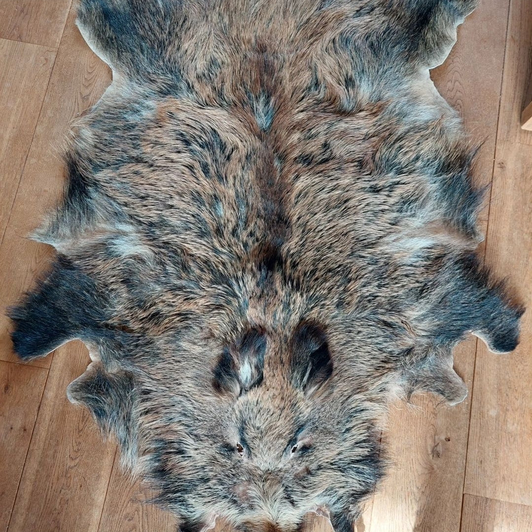 Wild boar hide #1