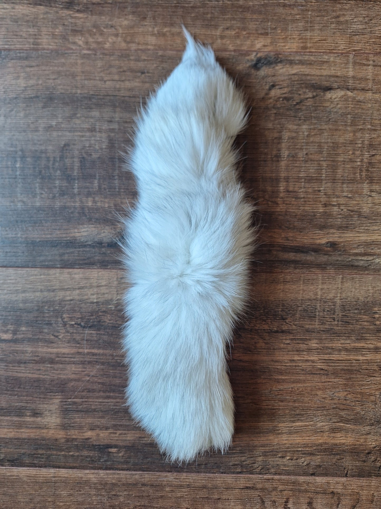 Polar fox tails