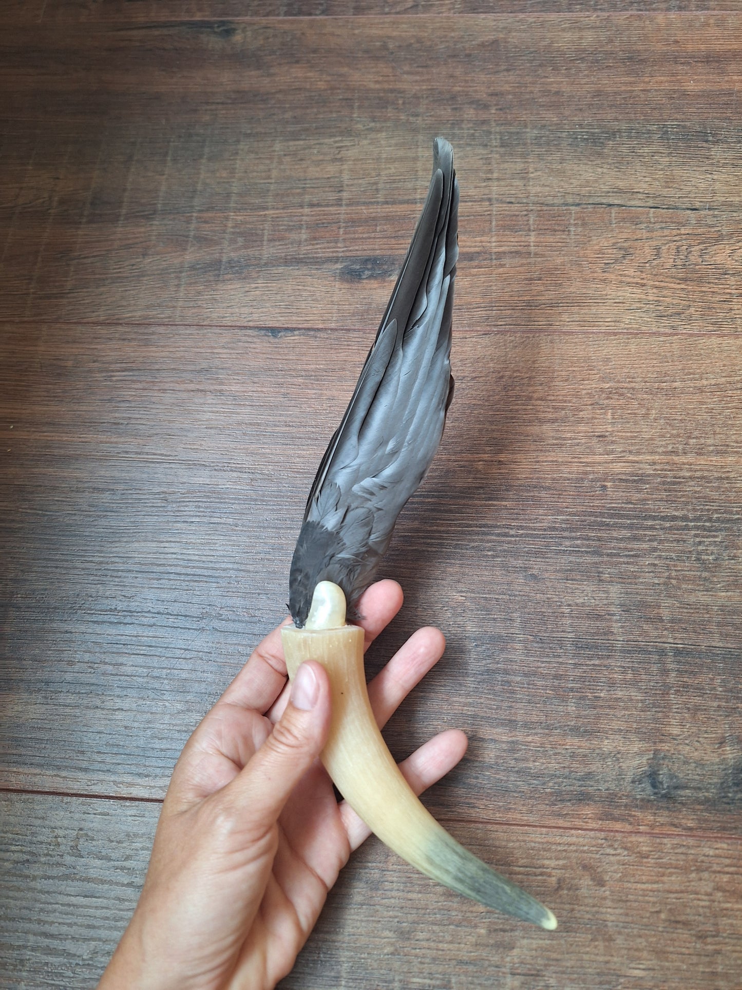 Bone feather fan Crow