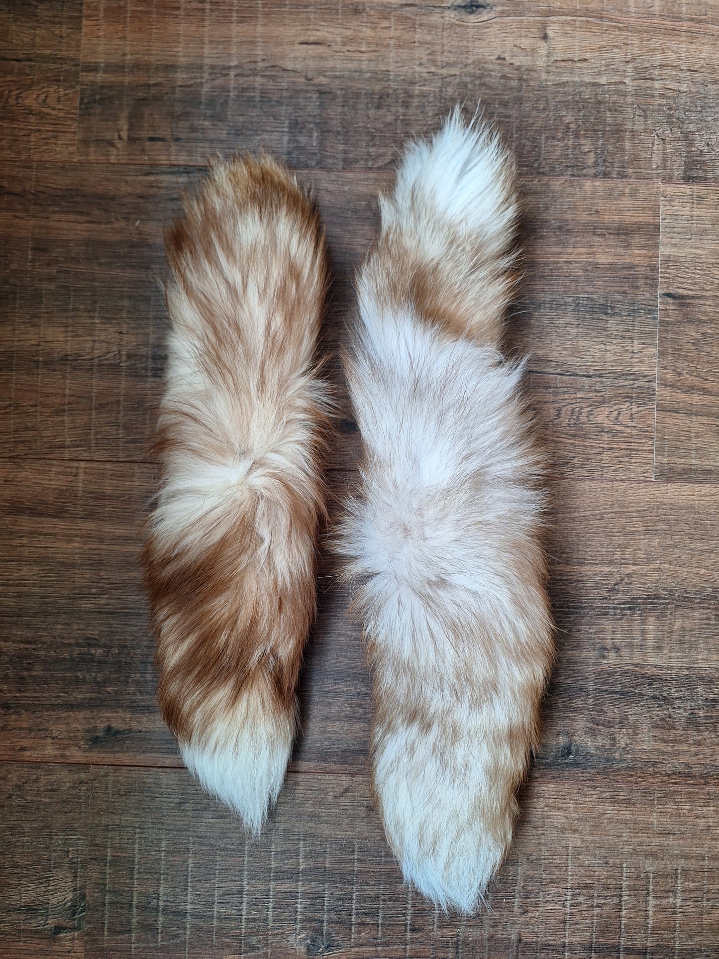 Painted silverfox tails