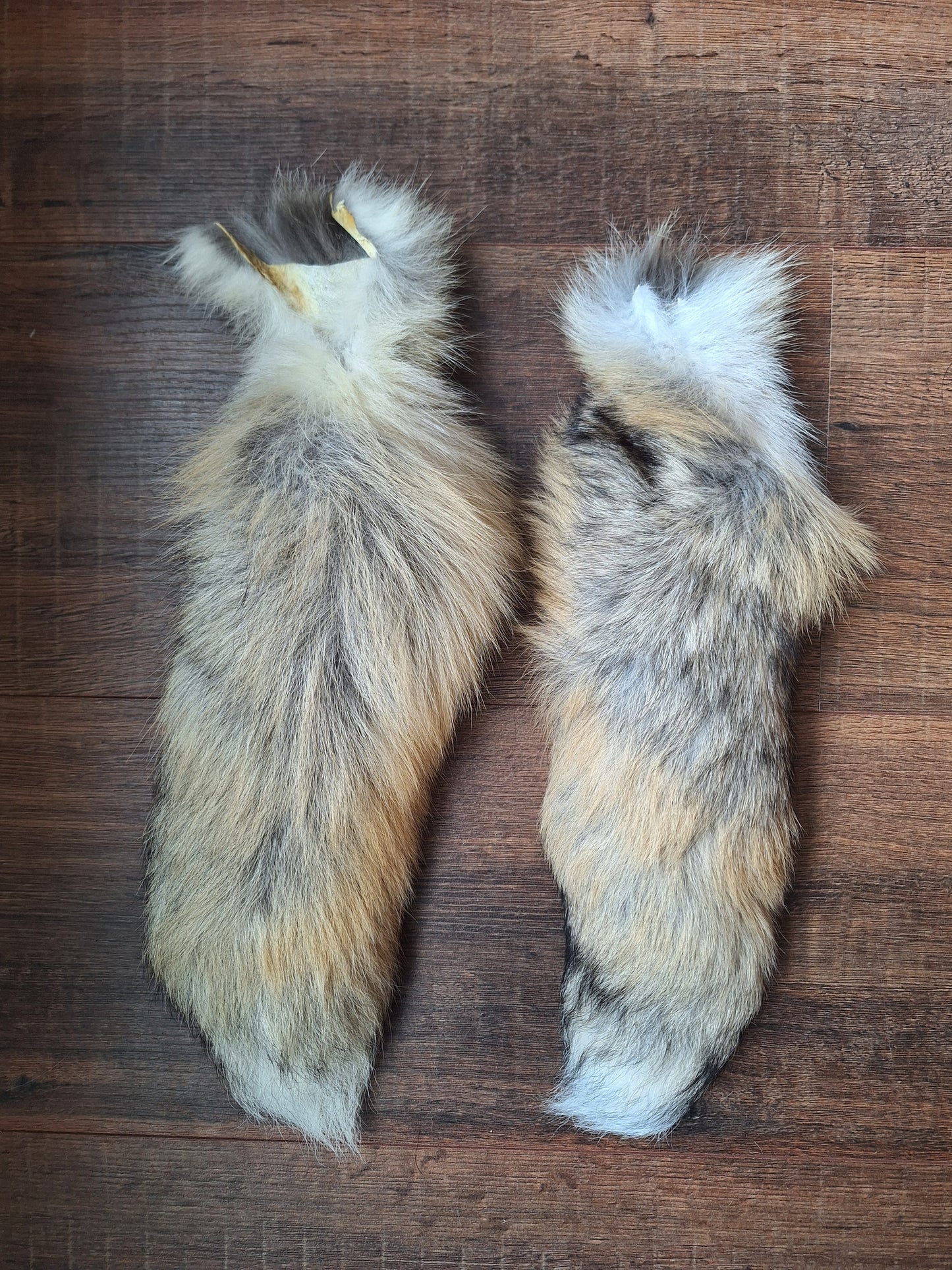 Painted silverfox tails