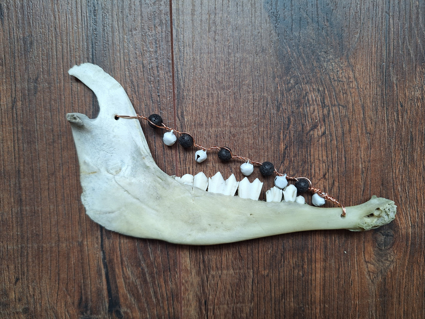 Roe deer jawbone rattle
