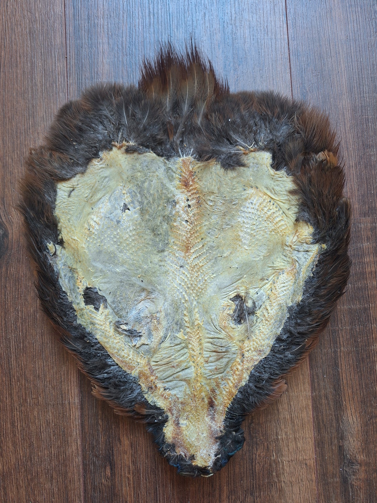Pheasant skin