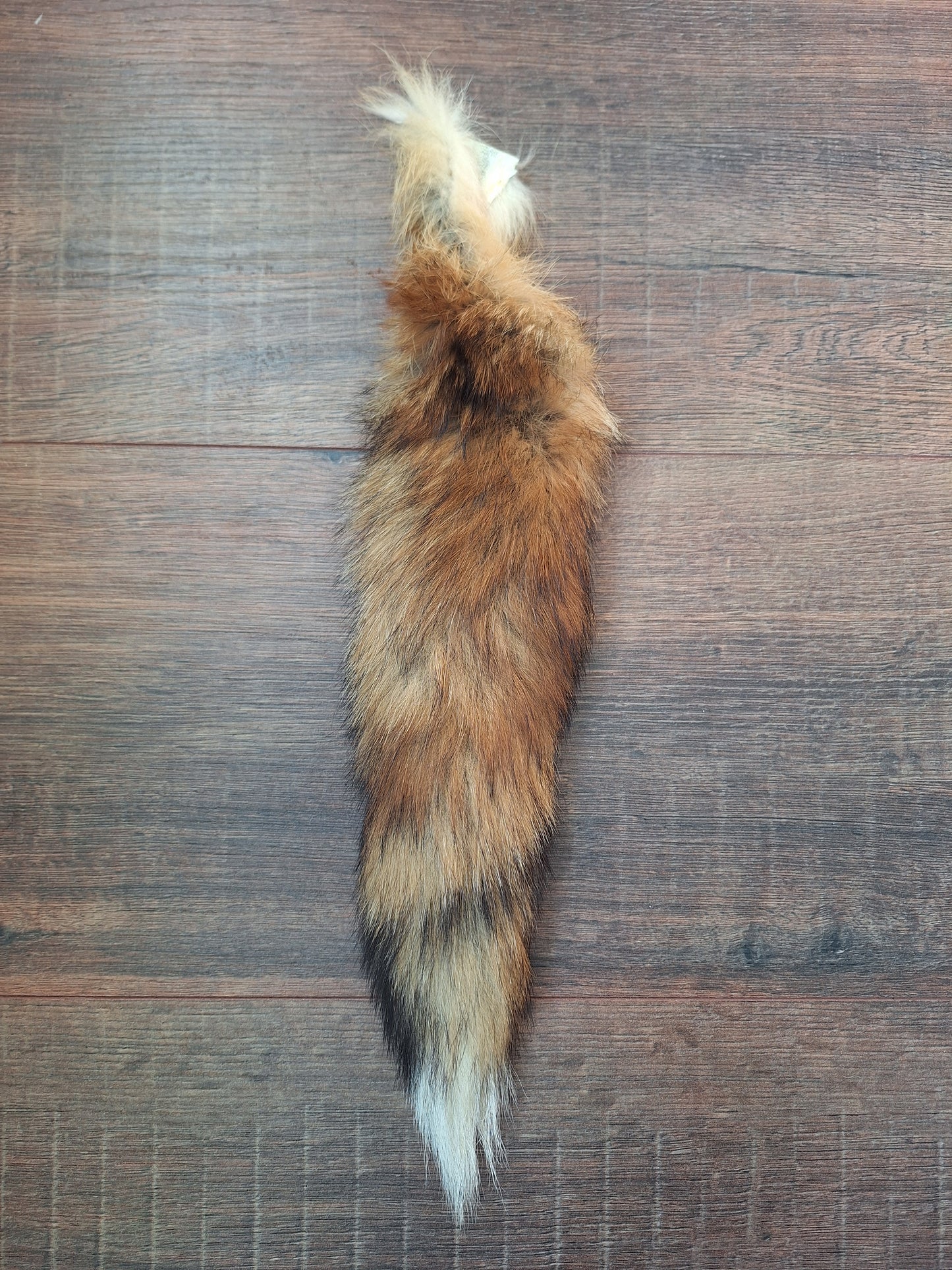 Red fox tails