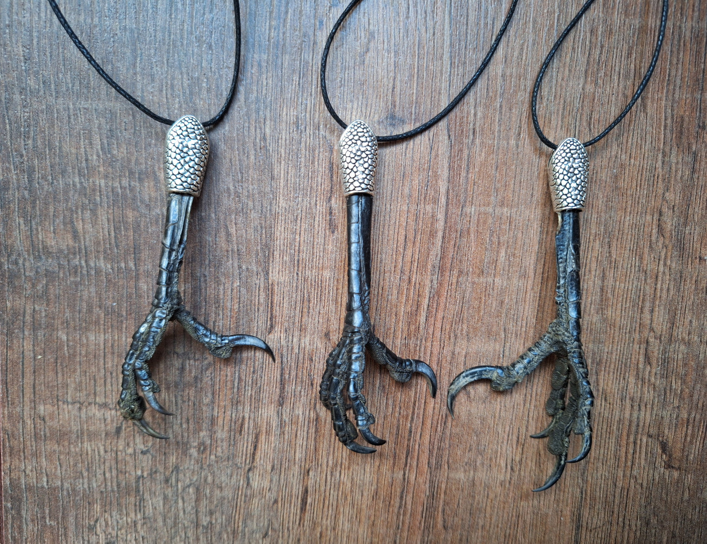 Crow claw amulet necklace