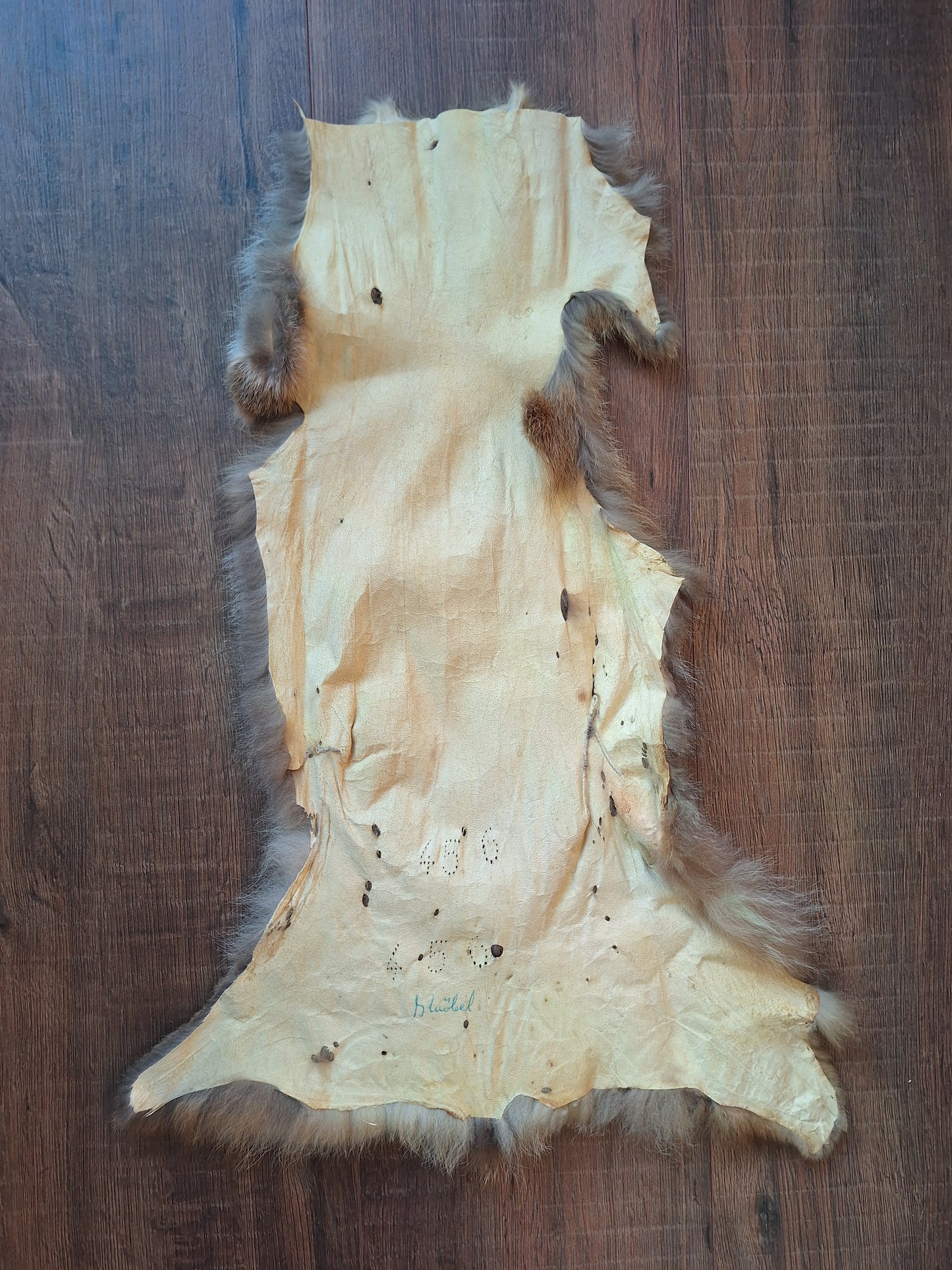 Red fox hide crafting piece