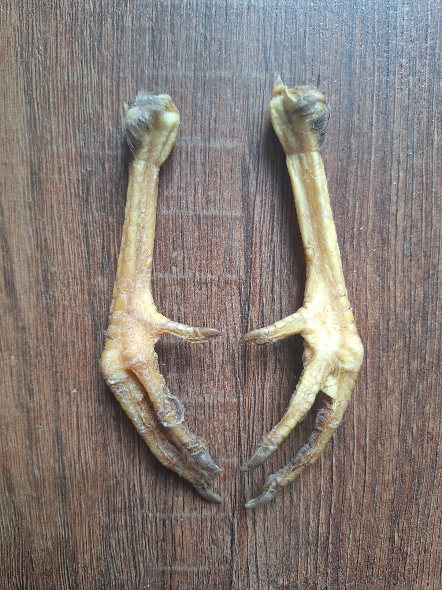 Chicken lower legs, set of 2