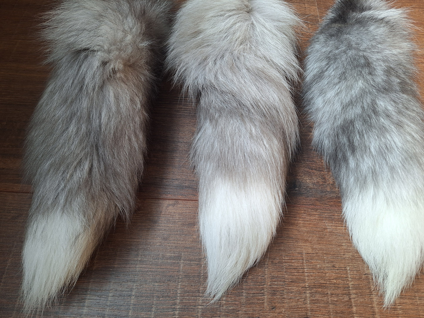Painted silverfox tails