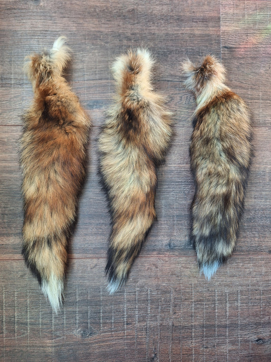 Red fox tails