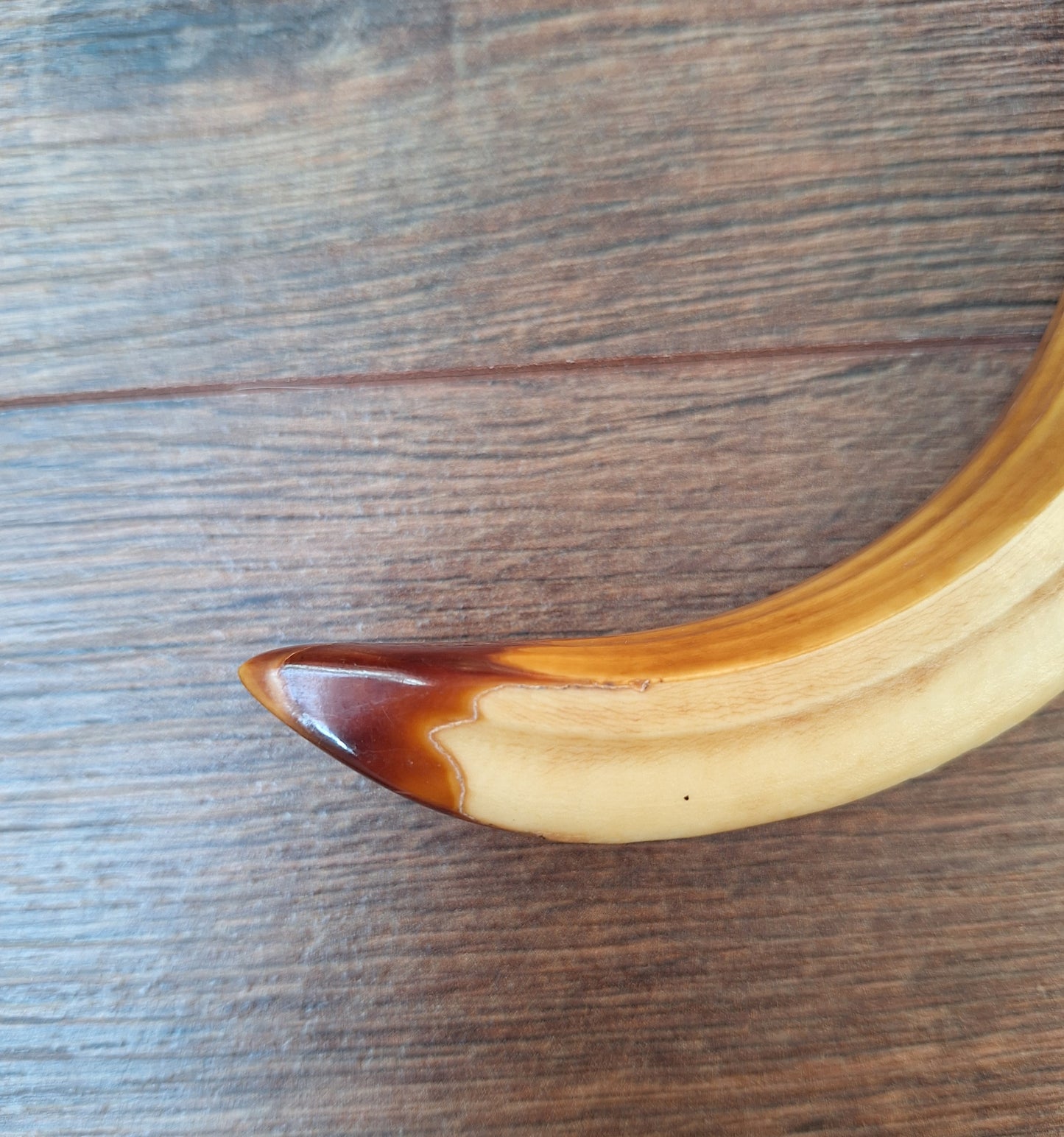 Vintage Nepalese wild boar tusk pendant