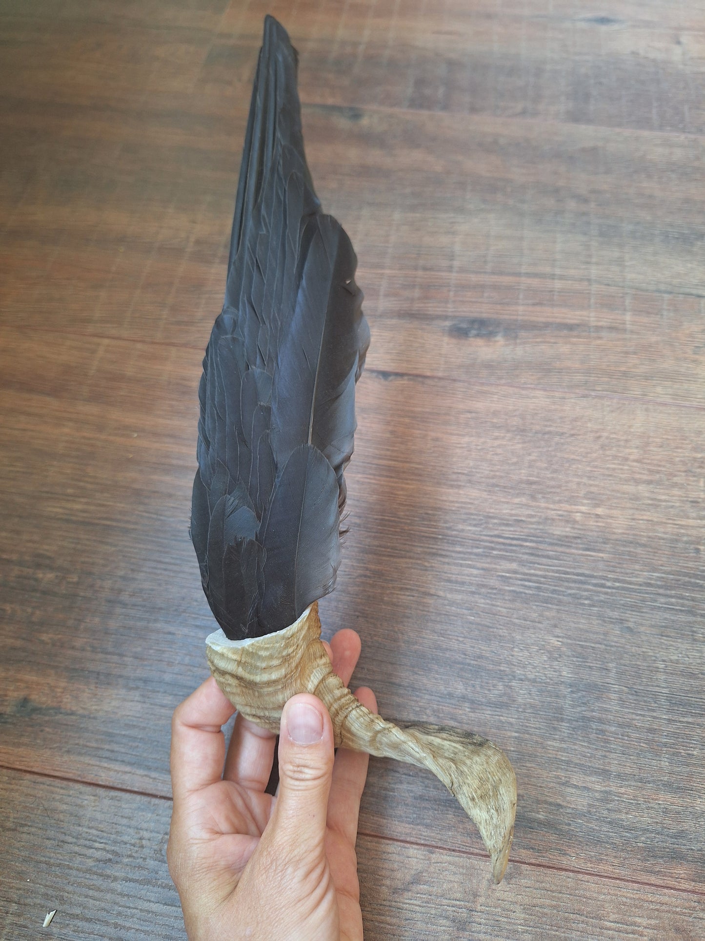 Horn feather fan Crow