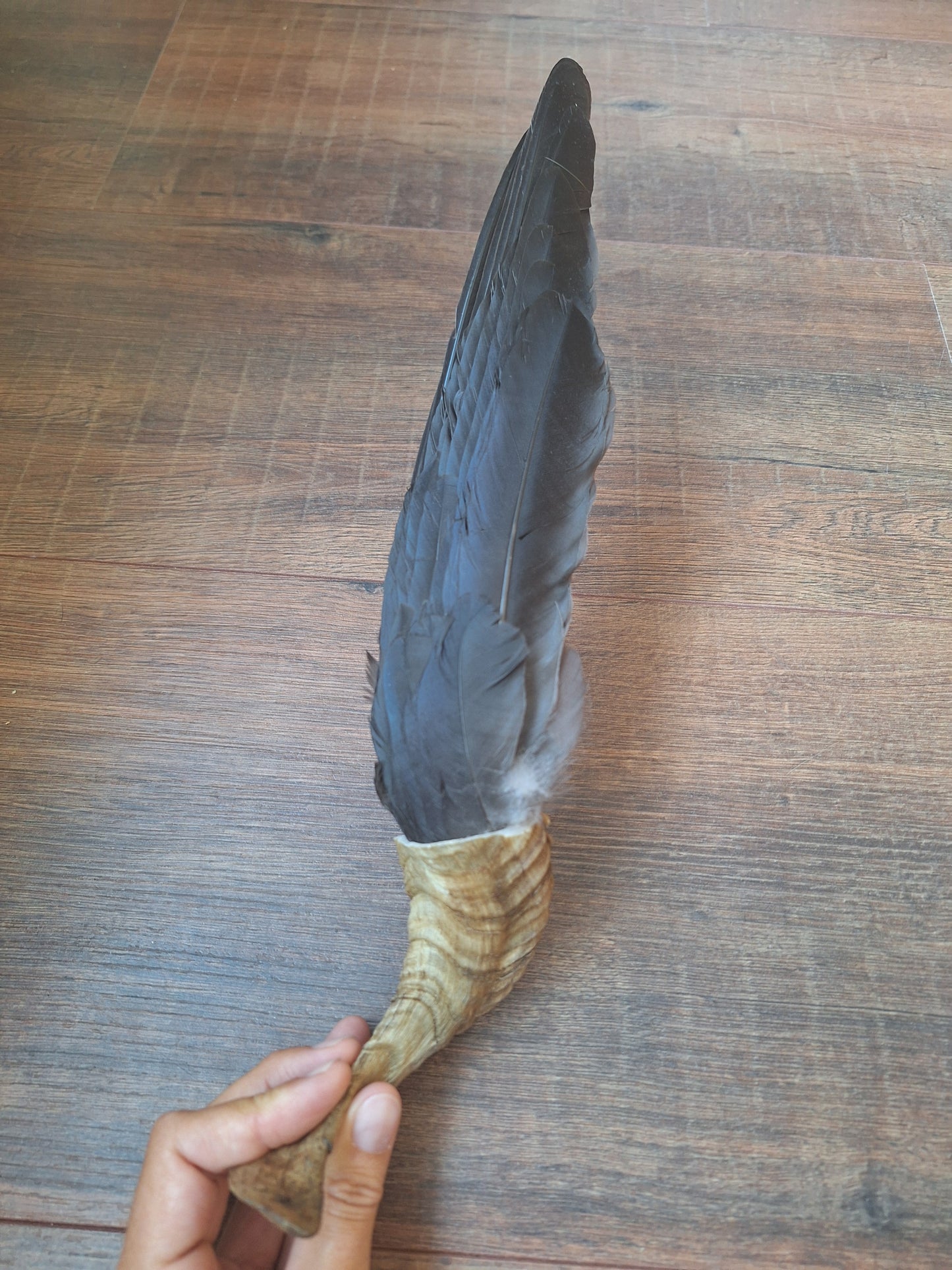 Horn feather fan Crow