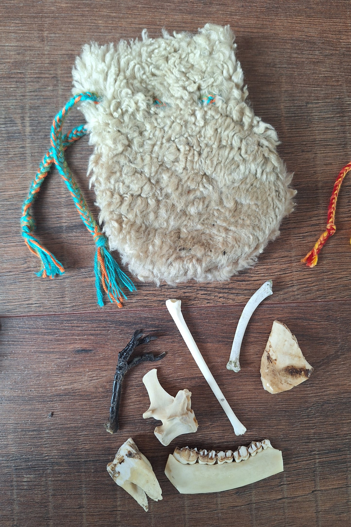 Witch oracle starter set, large
