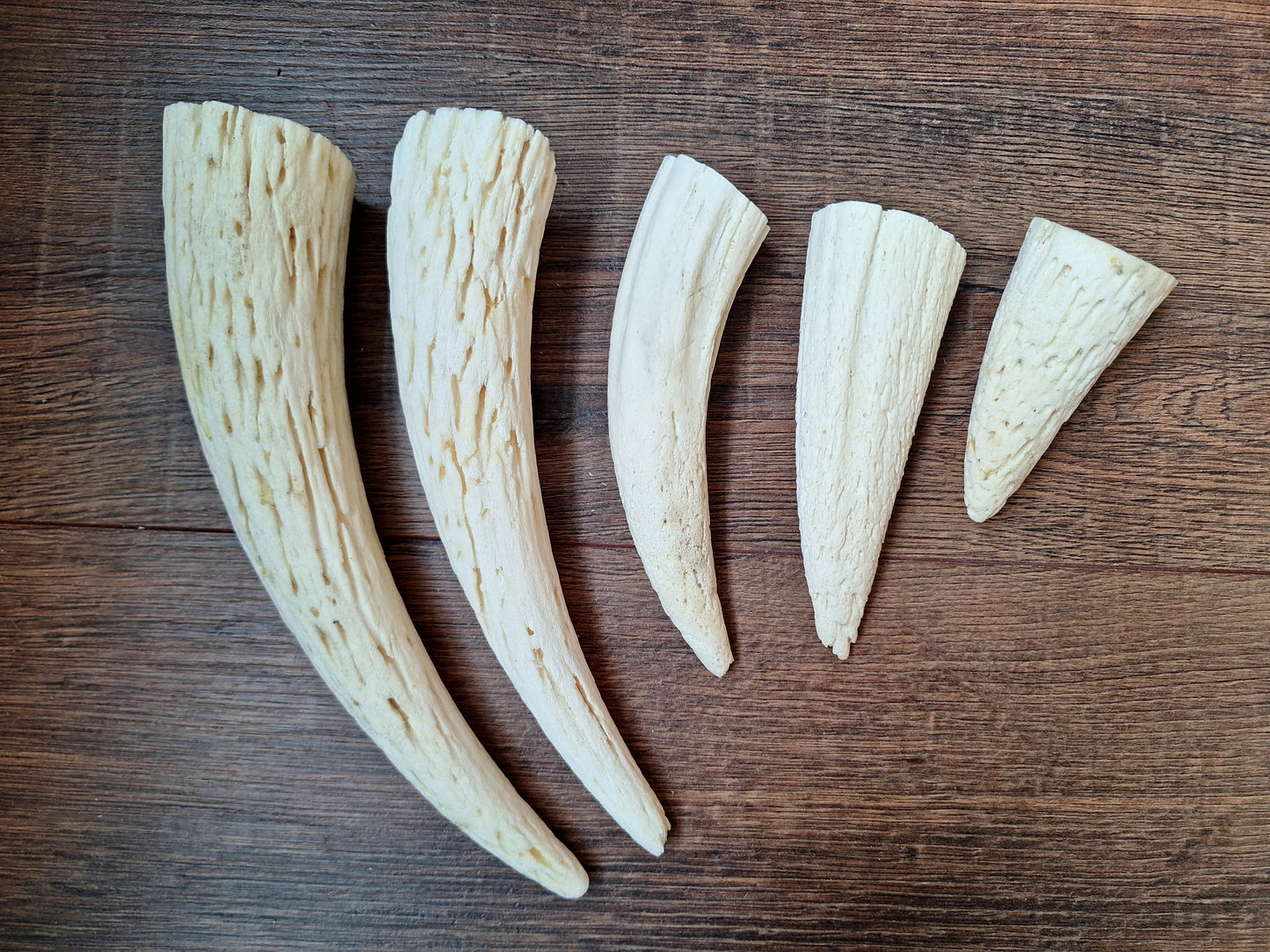 Cow horn pit, set of 5