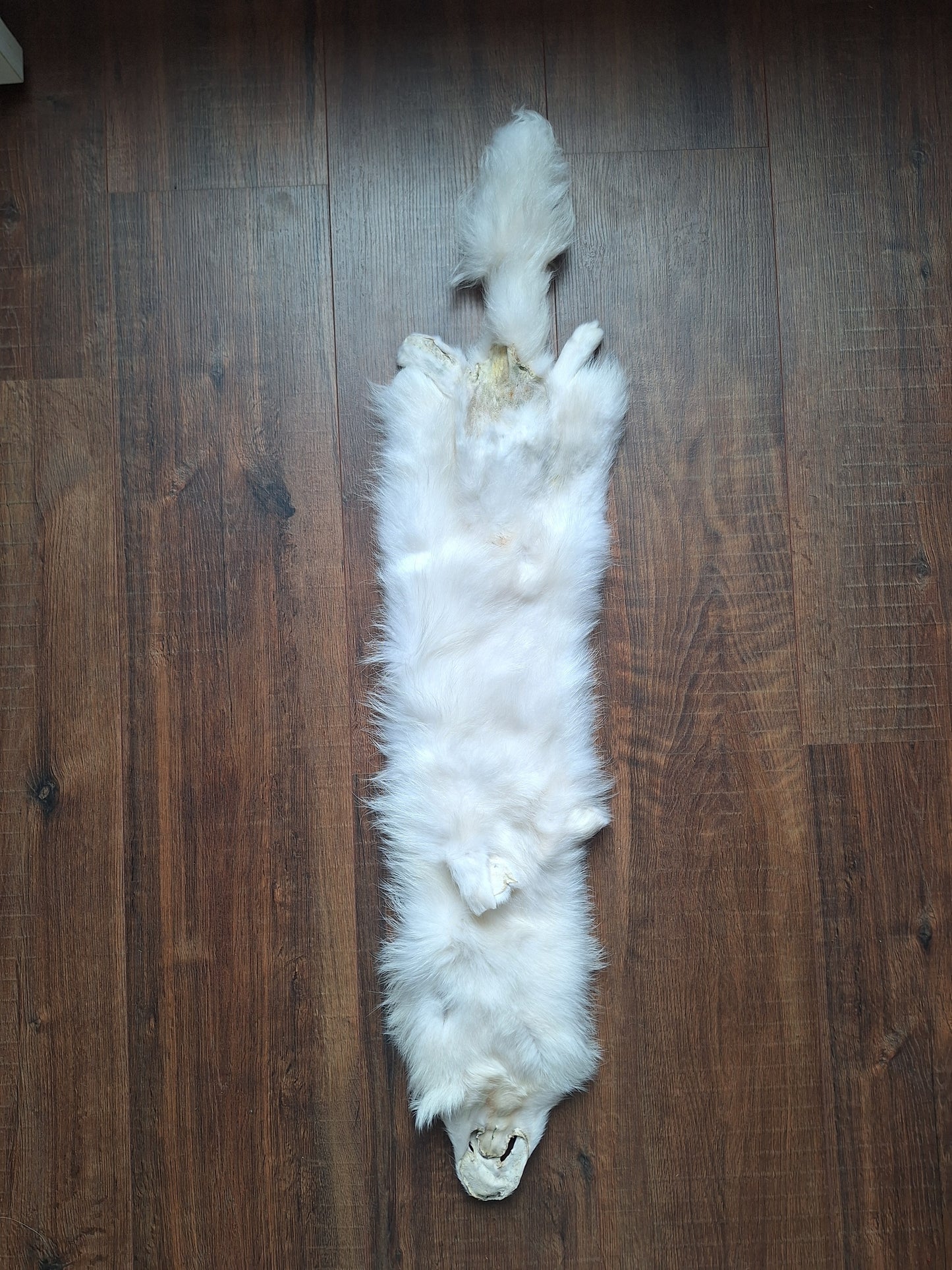Polar fox hide