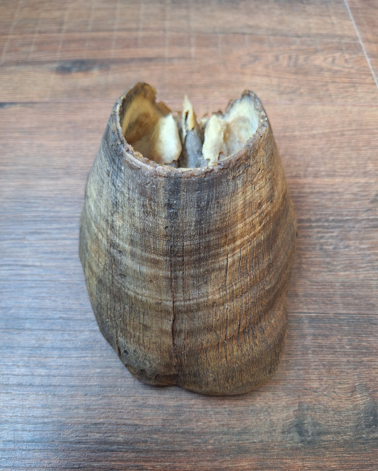 Horse hooves