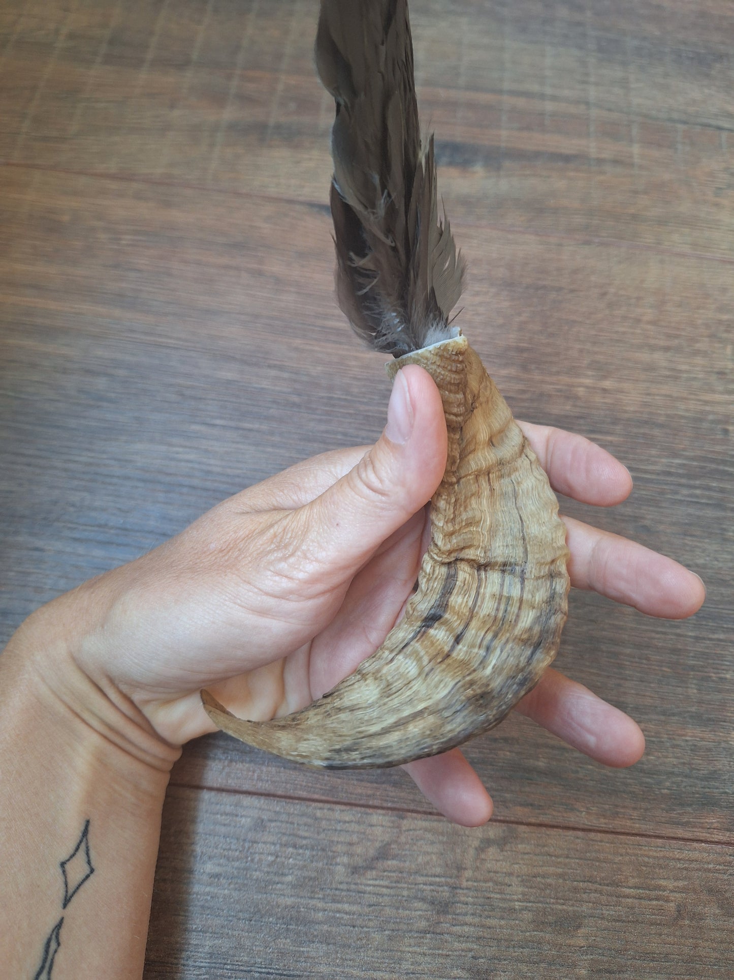 Horn feather fan Crow
