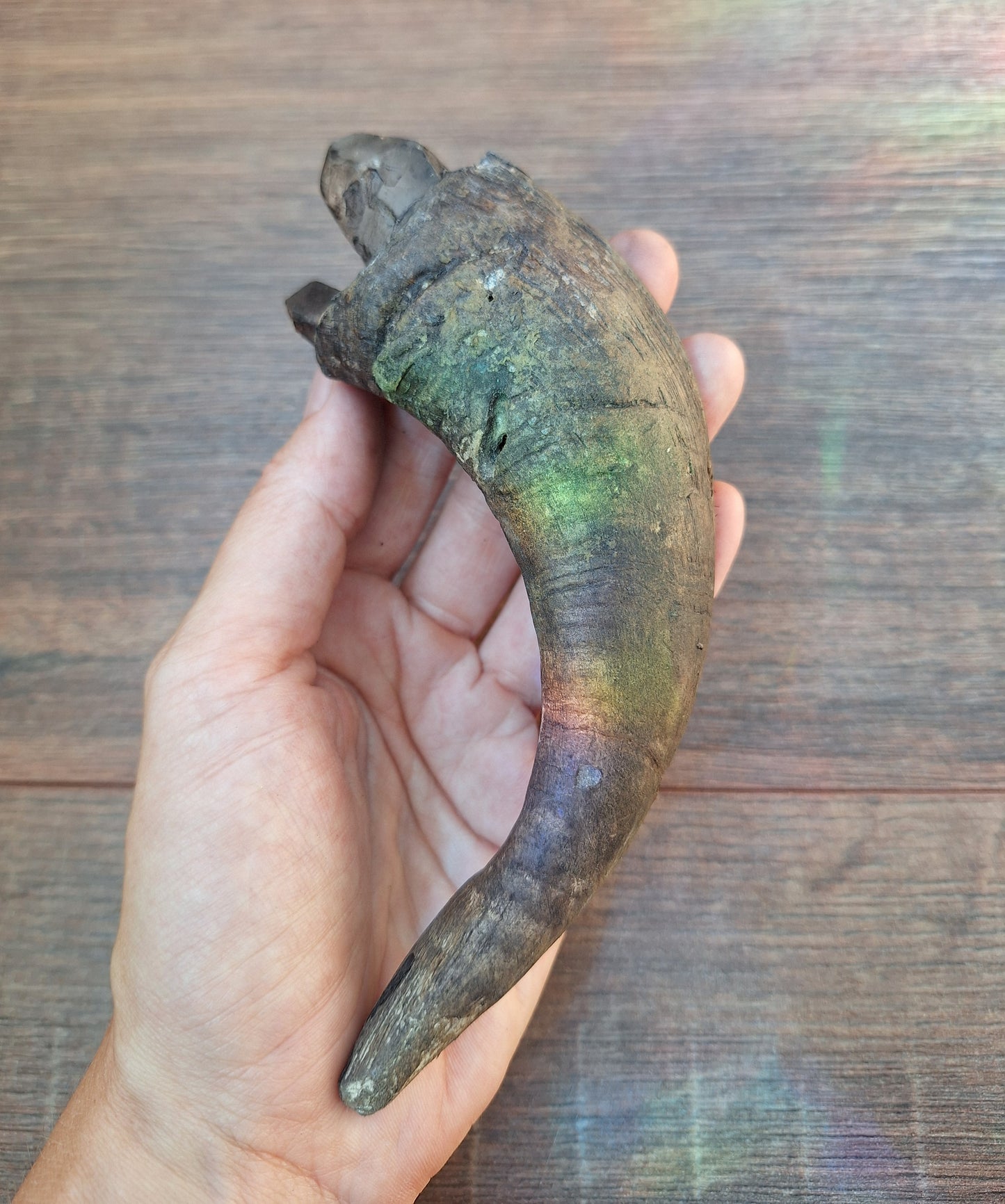 Old Nepalese shamanic horn stick #4