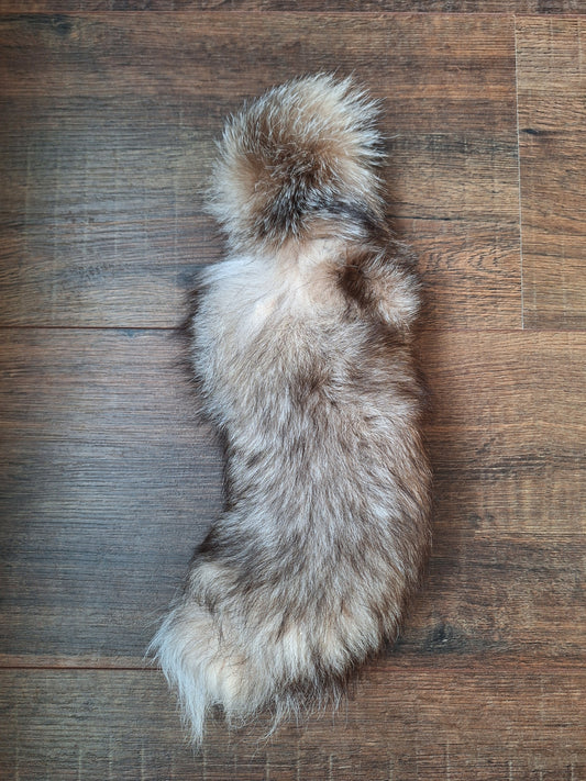 Painted silverfox tail