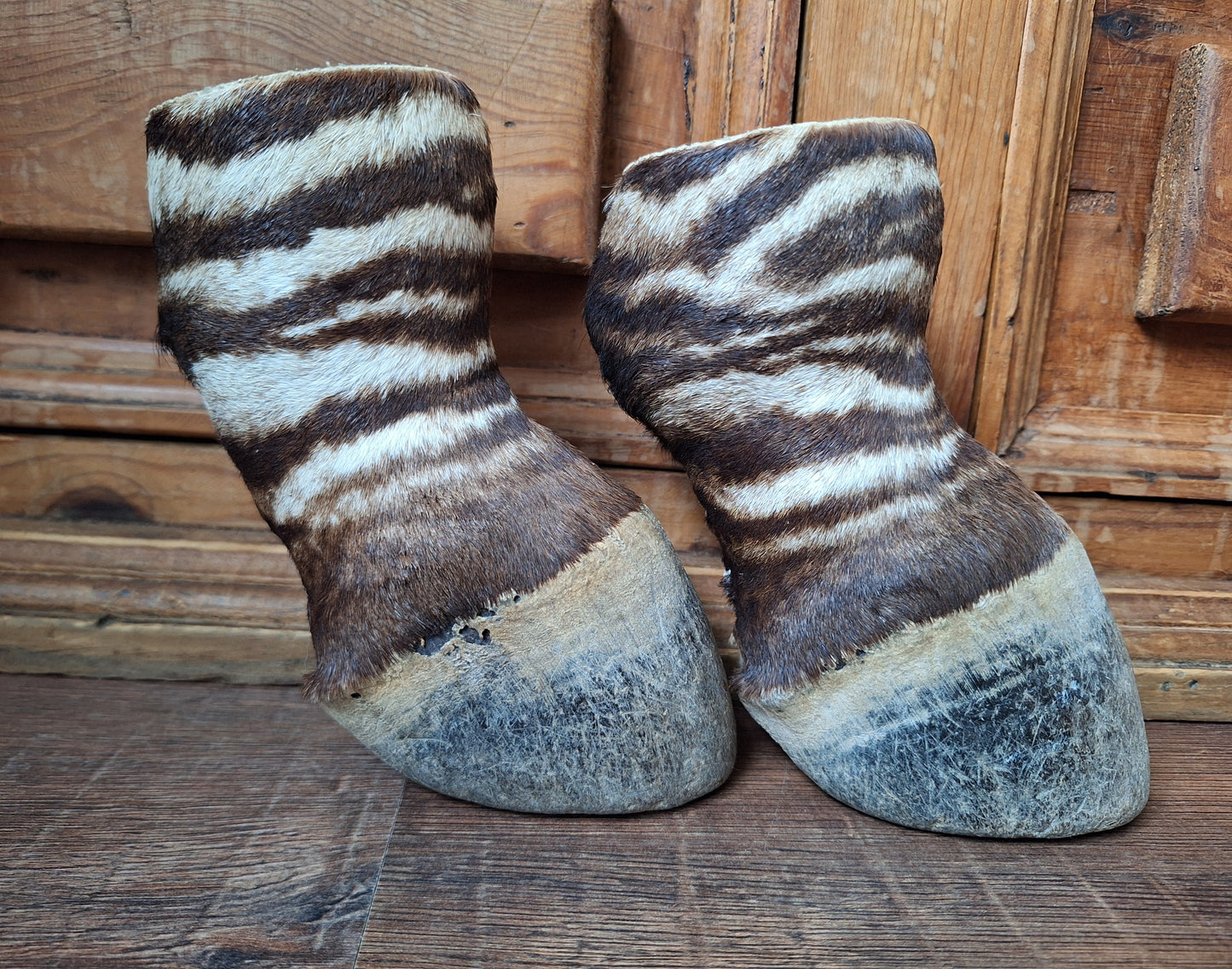 Vintage zebra feet, set of 2