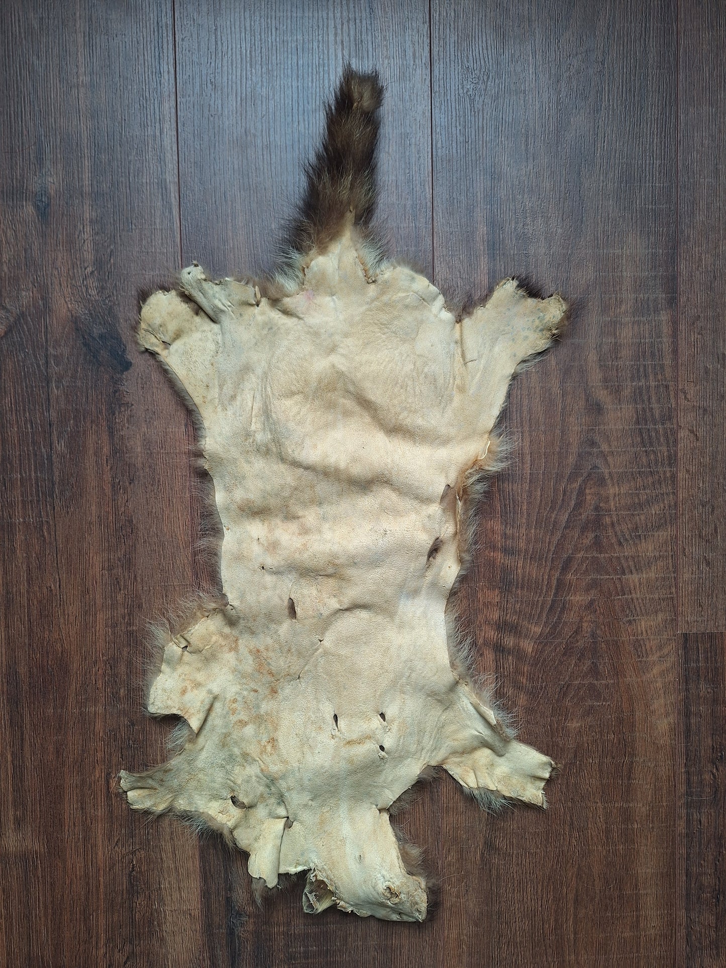 Raccoon dog hide, B-quality