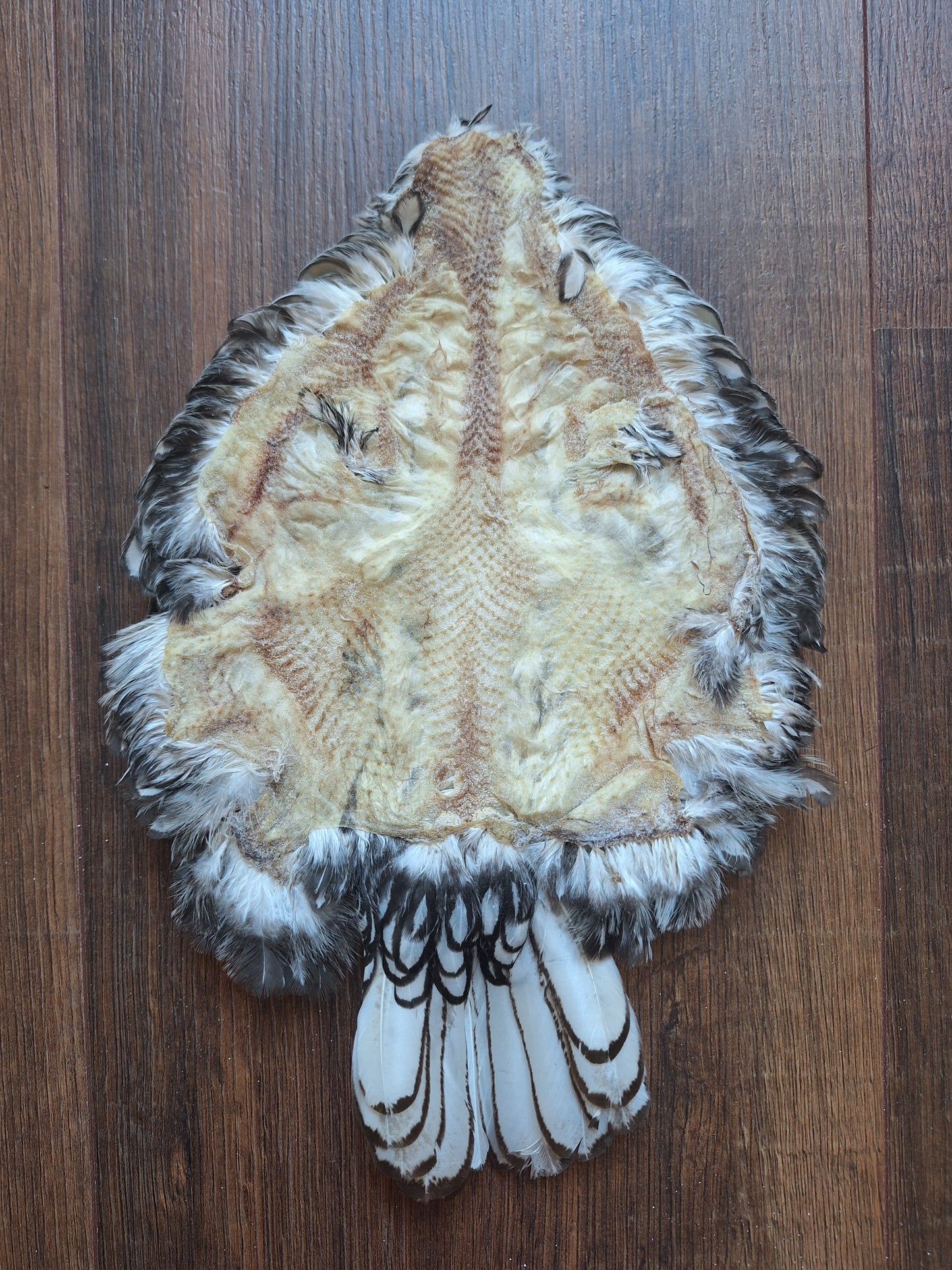Chicken skin