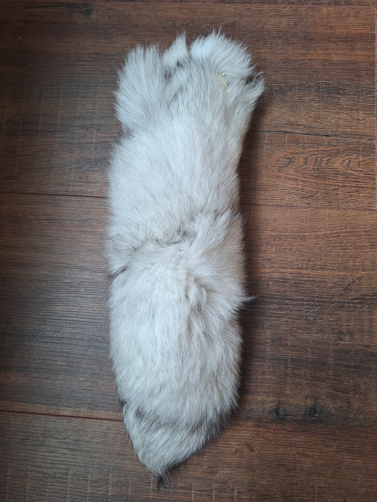 Polar fox tail