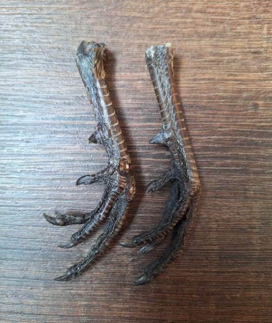 Chicken lower legs, set of 2