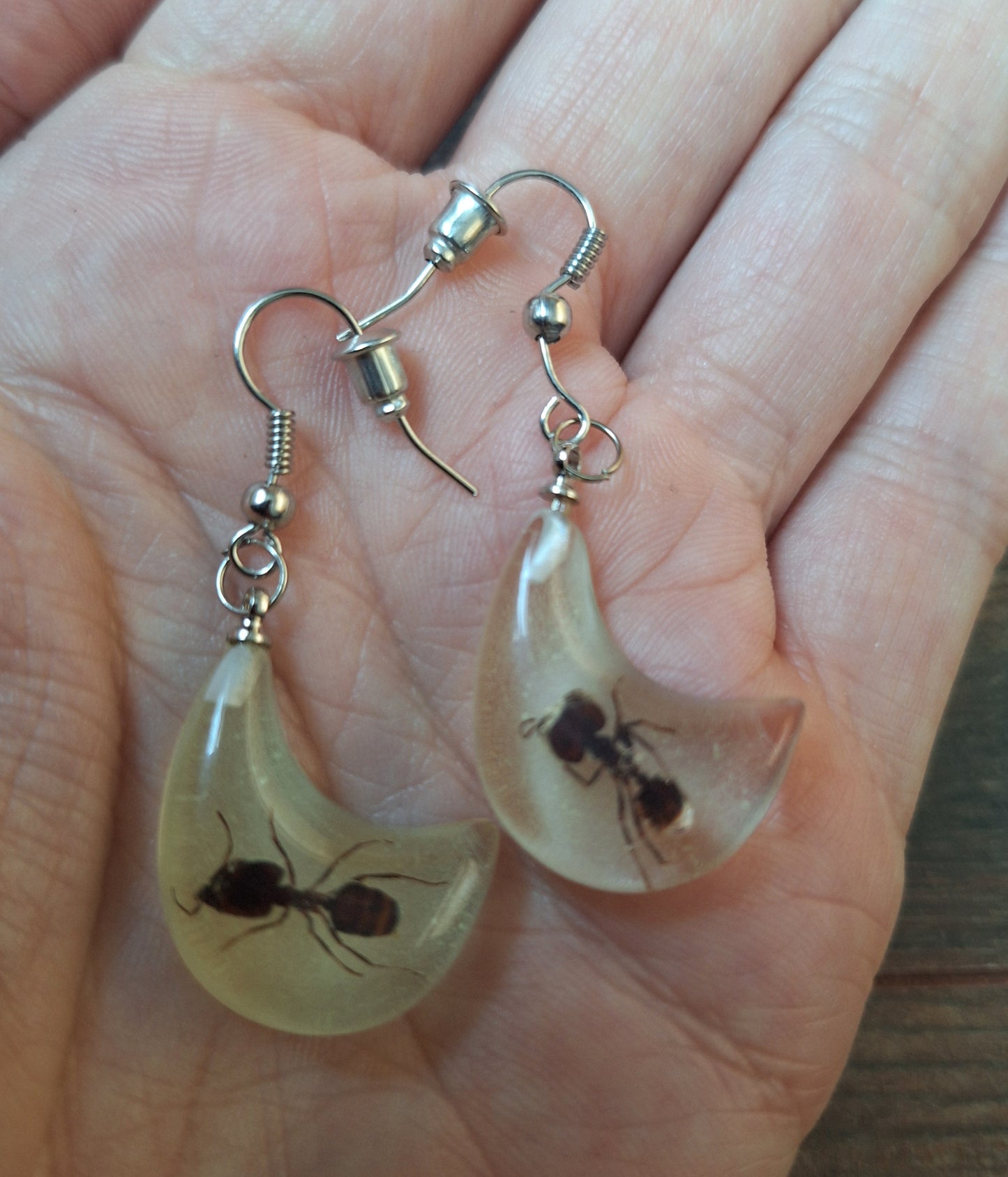 Ants in glow-in-the-dark resin earrings