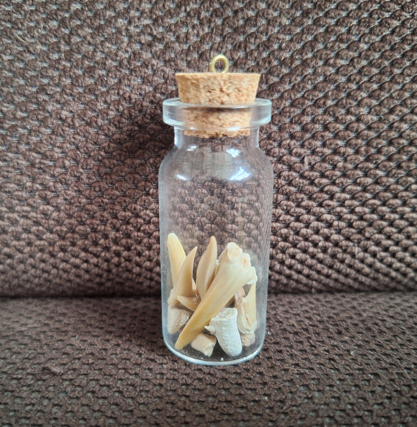 Shark teeth bottle