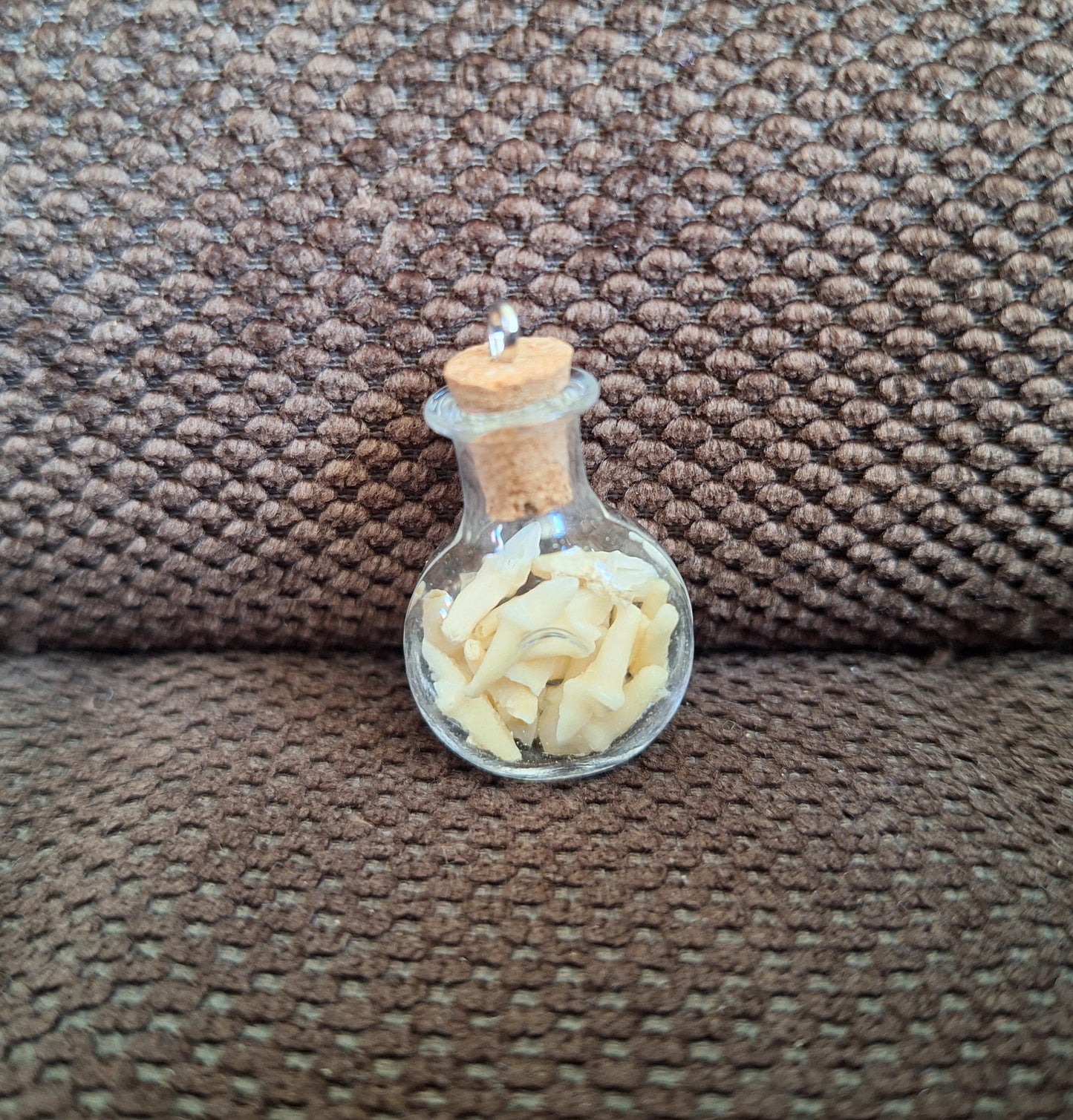 Mini bottle fox teeth