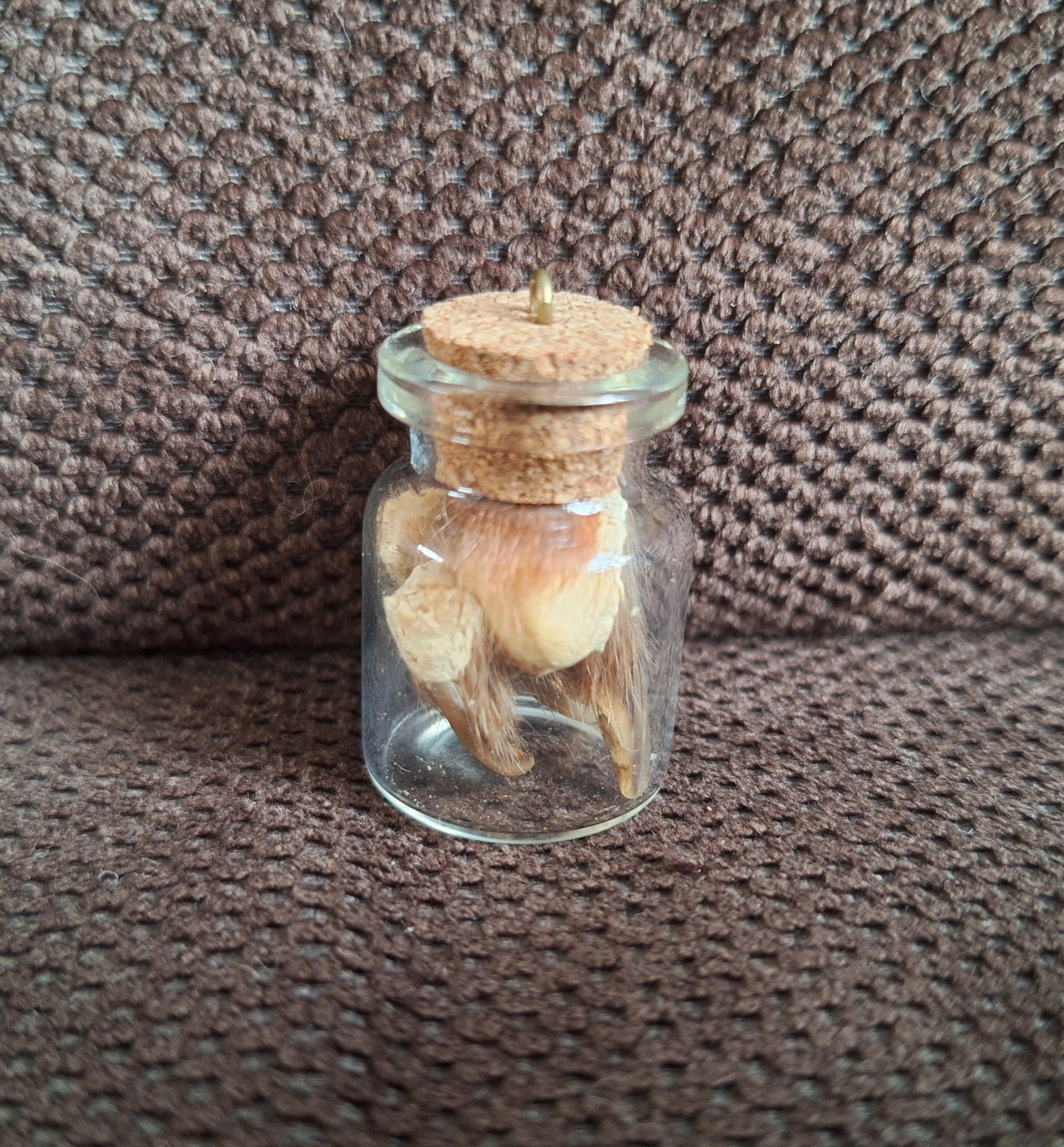 Fox nails bottle