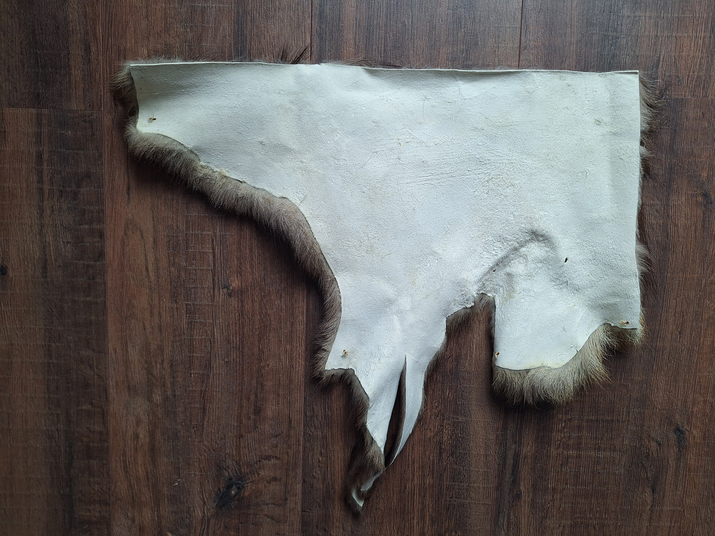 Chamois hide, crafting piece #2