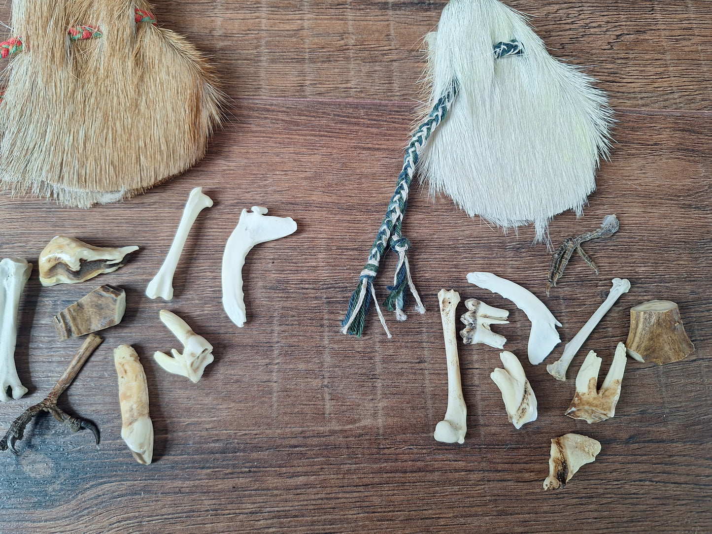 Witch oracle starter set, medium