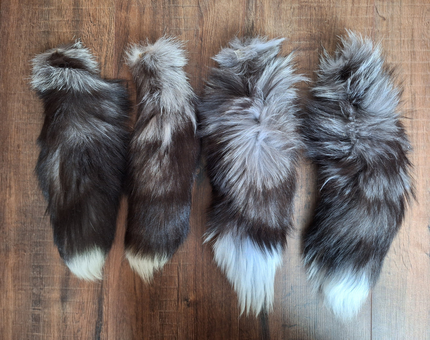Silverfox tails