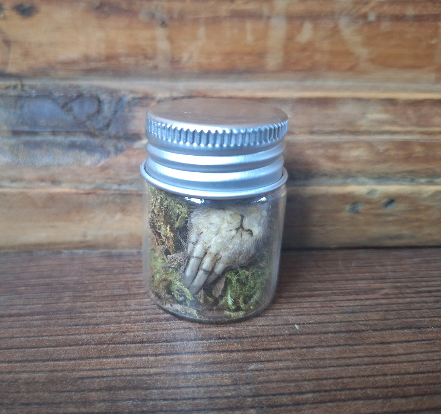 Mole paws in glass bottle