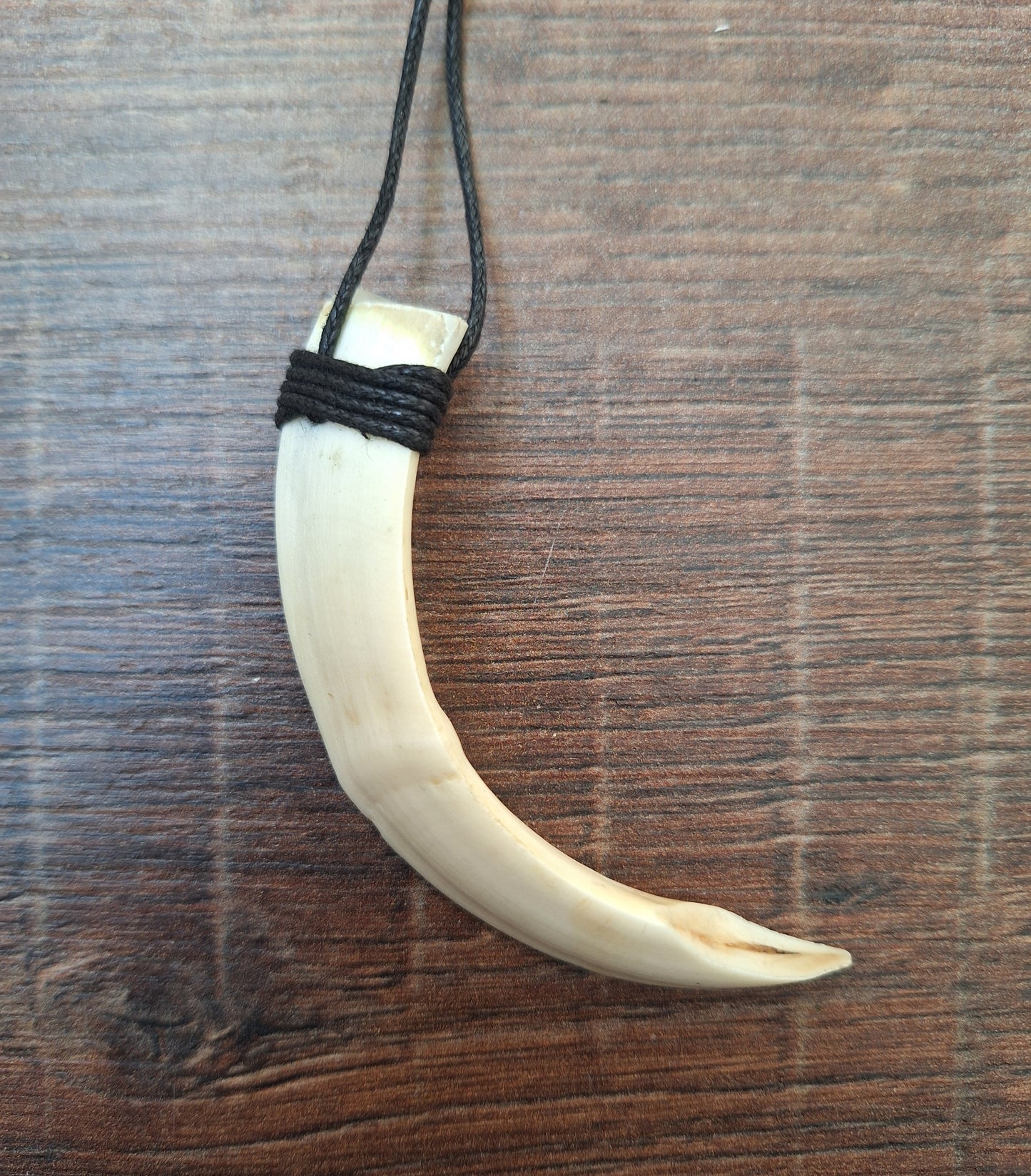 Wild boar tusk amulet necklace