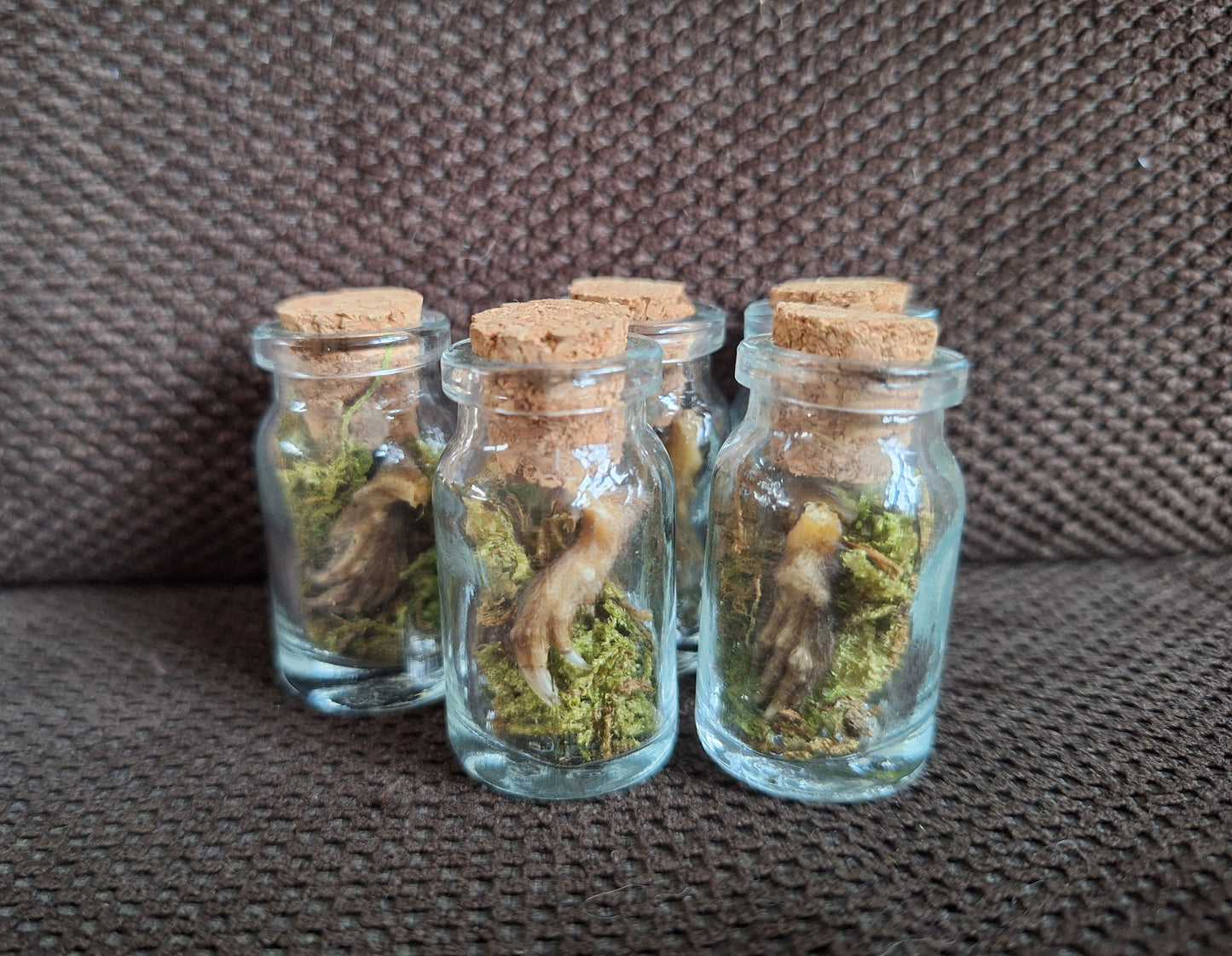 Mole paws bottle