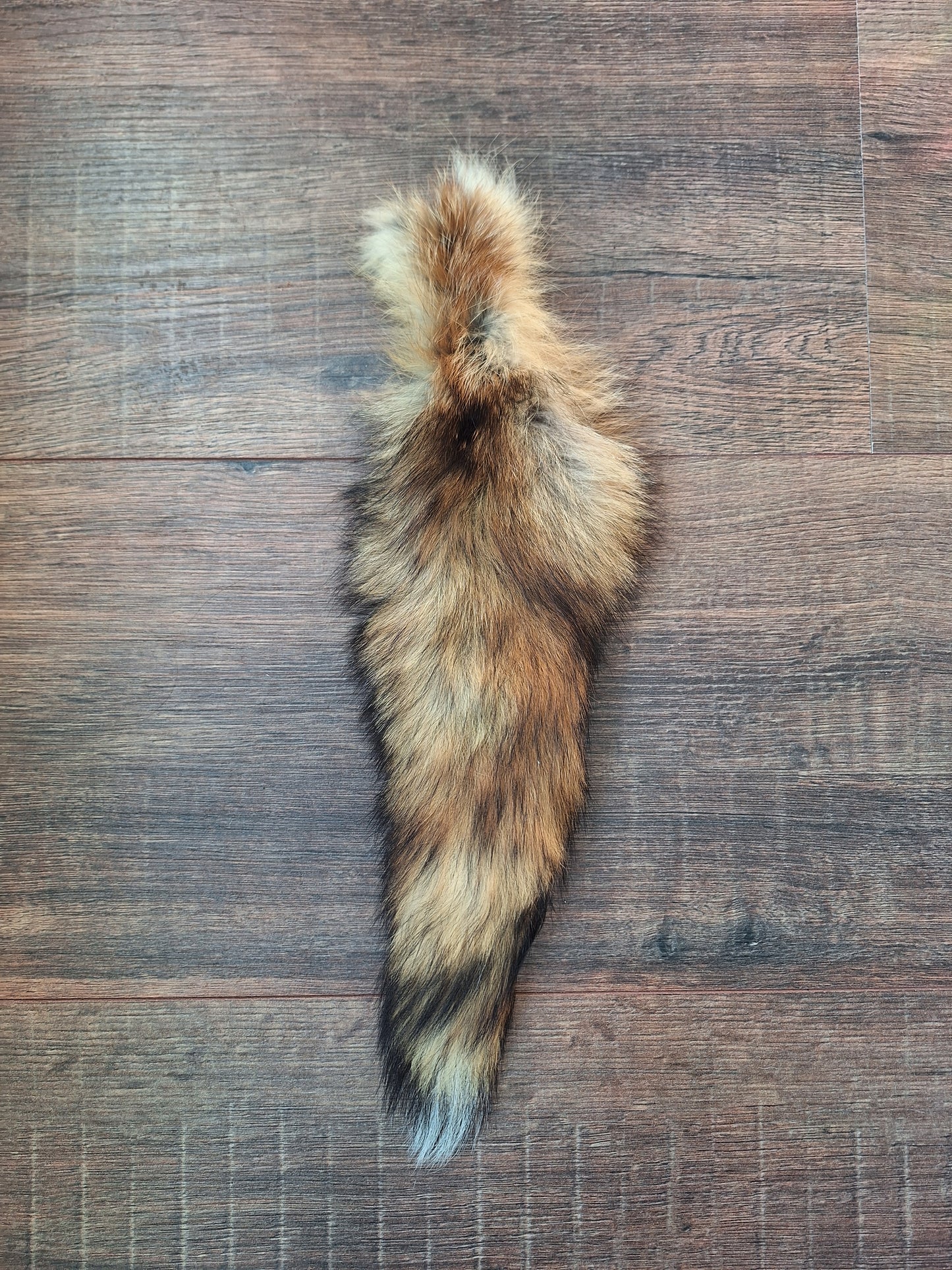 Red fox tails