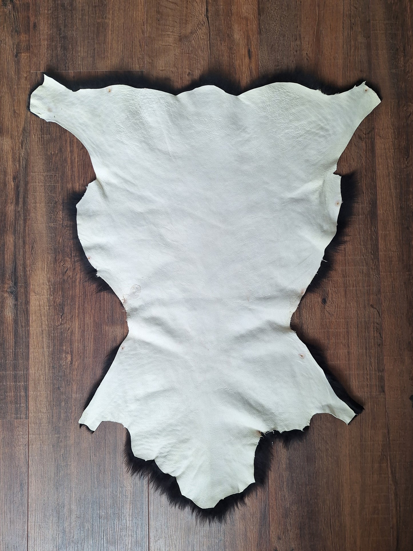 Sheep hide #15