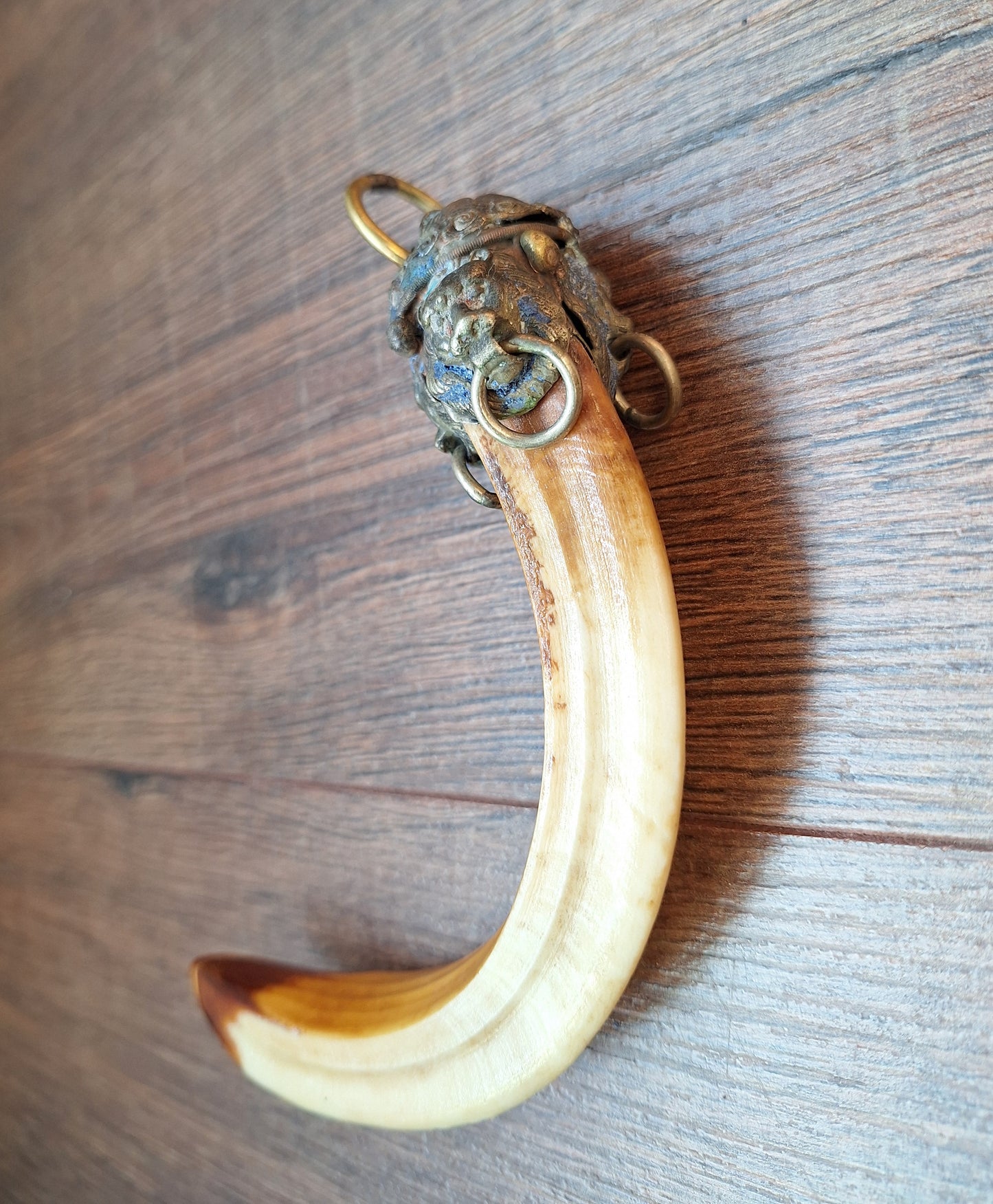 Vintage Nepalese wild boar tusk pendant