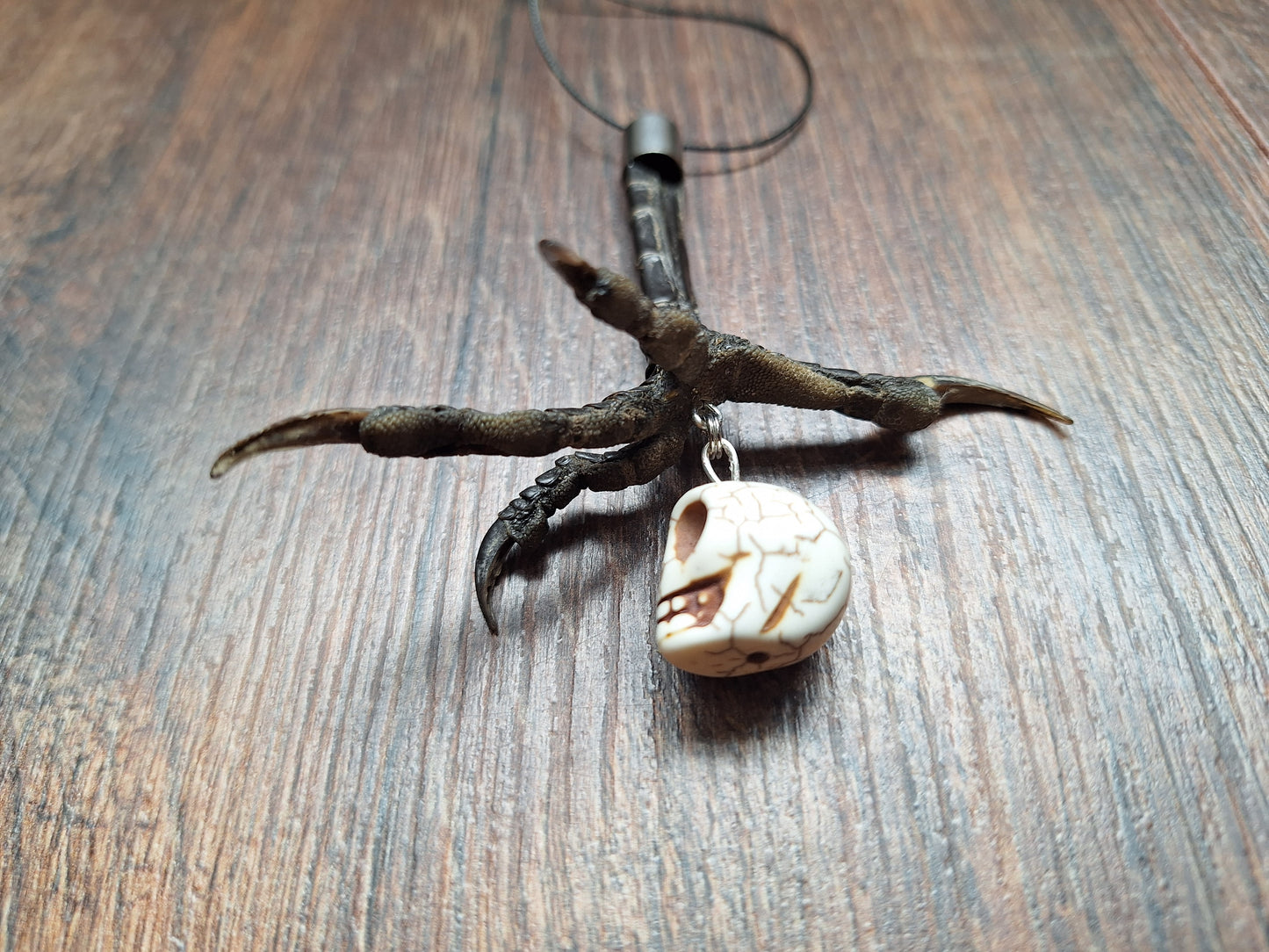 Crow claw and howlite skull amulet necklace