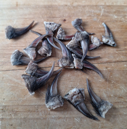 Badger claws #5