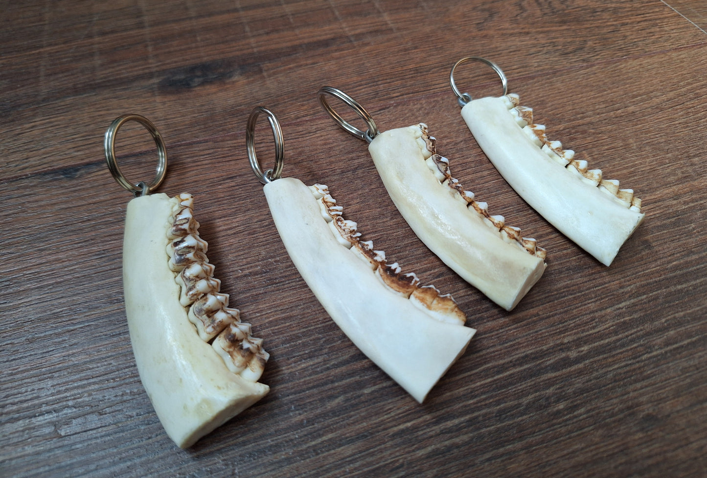 Roe deer jaw keychain