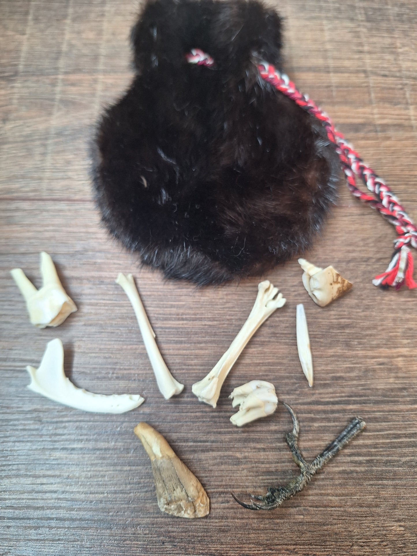 Witch oracle starter set