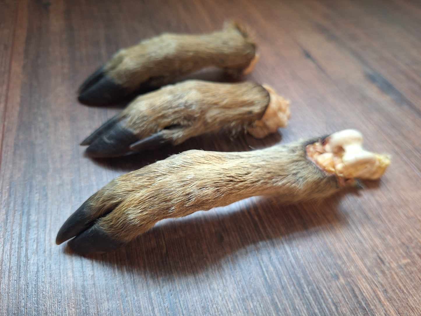 Wild boar lower legs