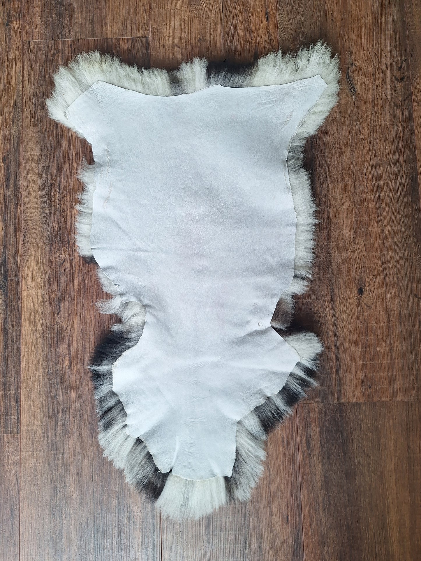 Sheep hide #14