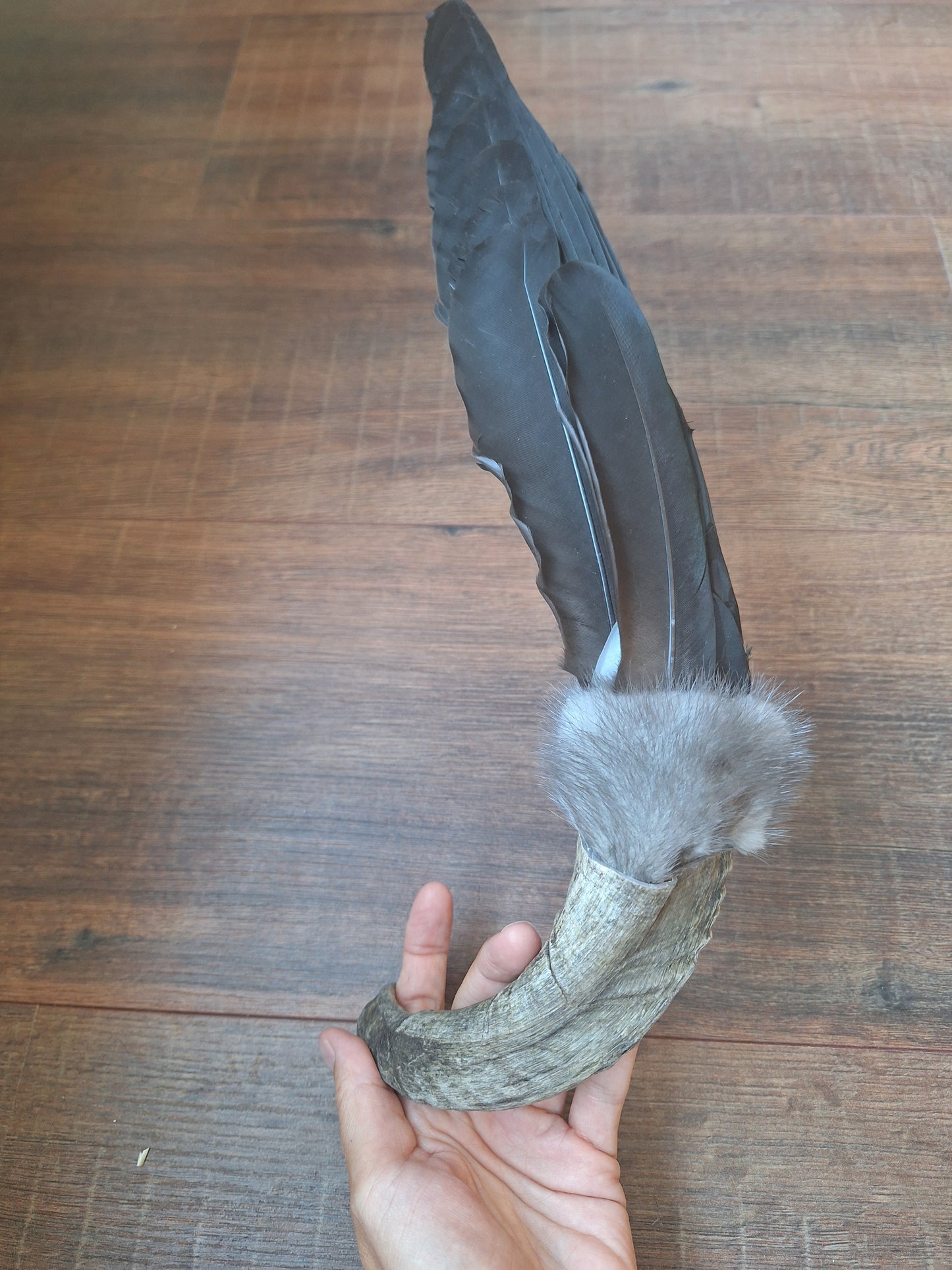 Horn feather fan Crow