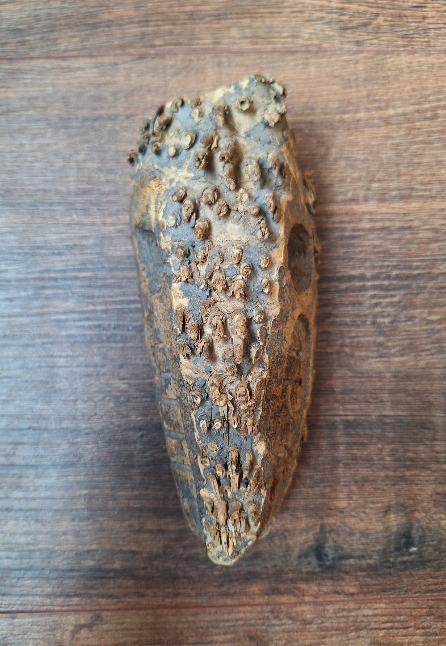 Nepalese palm tree root mask #8