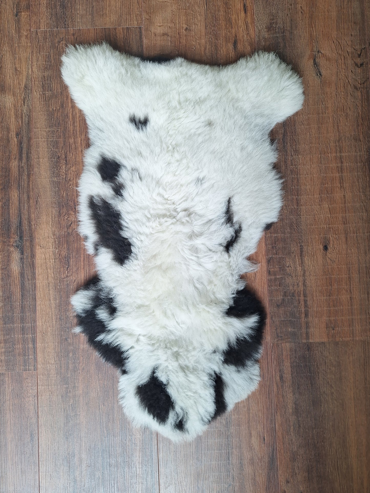Sheep hide #14